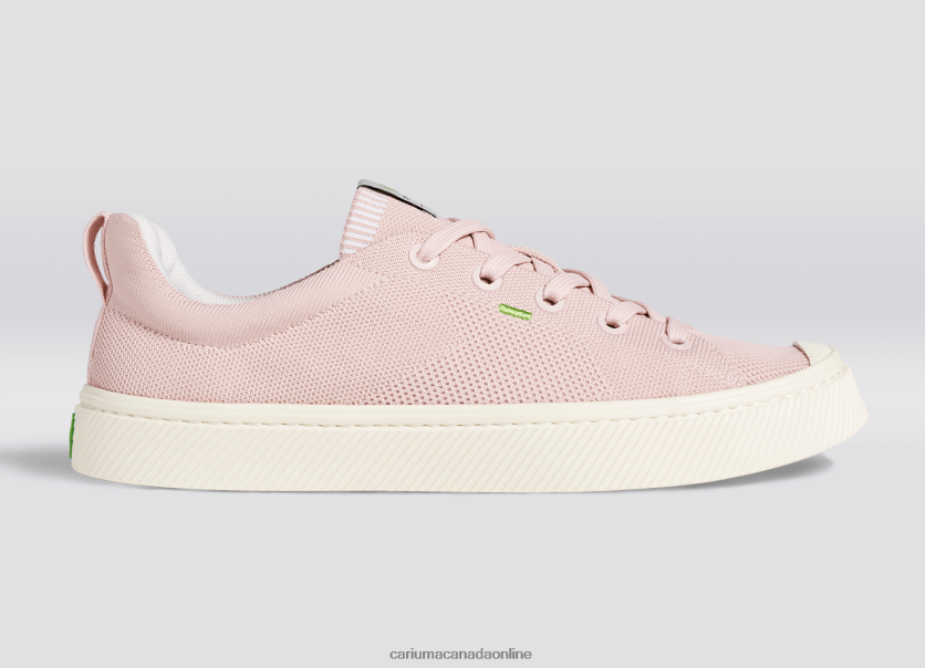 Cariuma Shoes | Cariuma Men Rose Knit HPBV8Z179