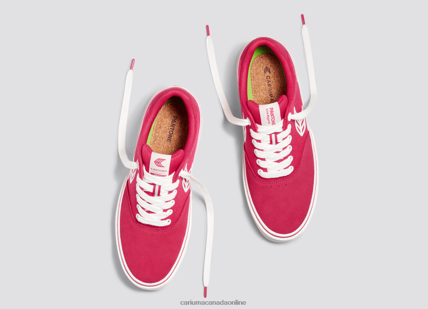 Cariuma Skate Shoes | Cariuma Men Pantone Viva Magenta/Off-White HPBV8Z78