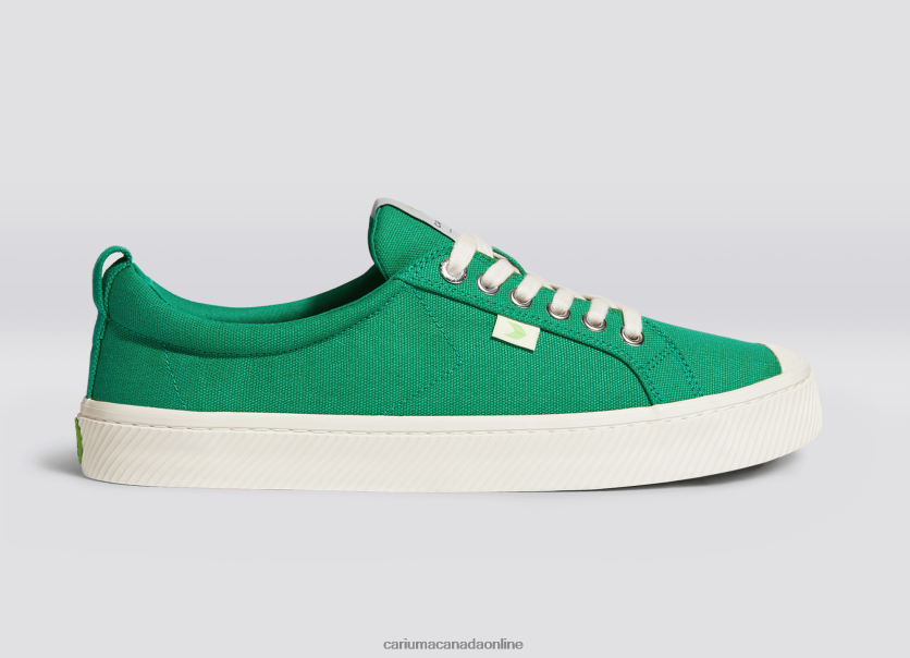 Cariuma Canada | Cariuma Men Green Canvas HPBV8Z4