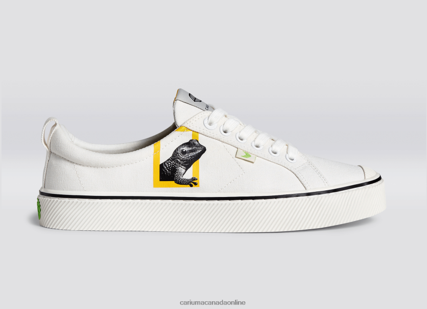 Cariuma Canada | Cariuma Men National Geographic Gecko Off-White Canvas HPBV8Z85
