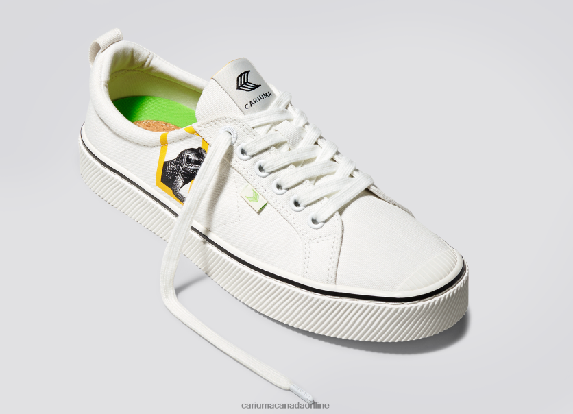 Cariuma Canada | Cariuma Men National Geographic Gecko Off-White Canvas HPBV8Z85