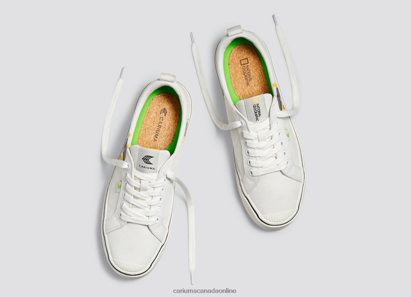 Cariuma Canada | Cariuma Men National Geographic Gecko Off-White Canvas HPBV8Z85