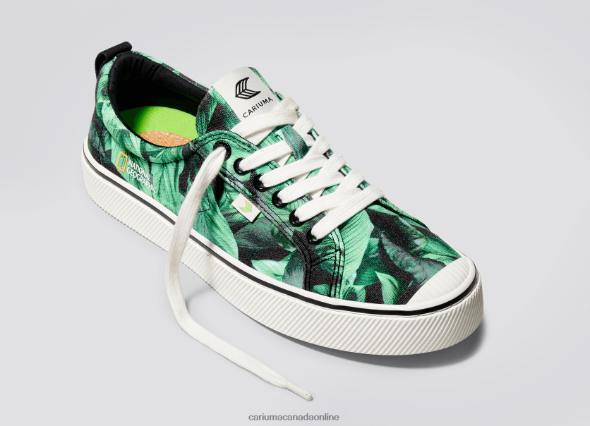 Cariuma Canada | Cariuma Men National Geographic Peace Lily Green Canvas HPBV8Z28