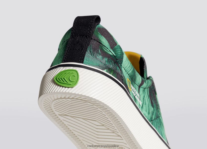 Cariuma Canada | Cariuma Men National Geographic Peace Lily Green Canvas HPBV8Z28