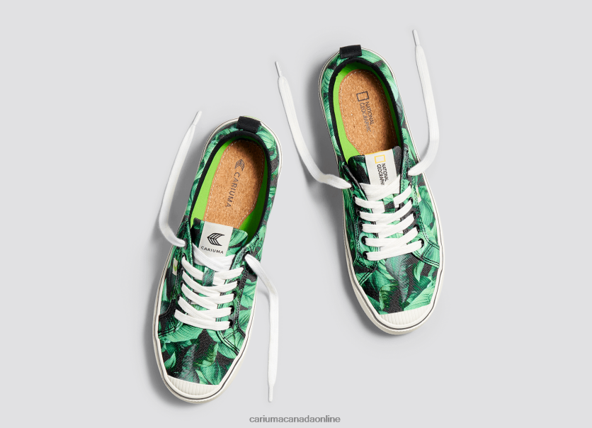 Cariuma Canada | Cariuma Men National Geographic Peace Lily Green Canvas HPBV8Z28