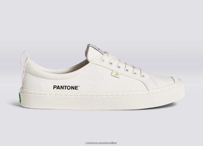 Cariuma Canada | Cariuma Men Pantone Snow White Canvas HPBV8Z16