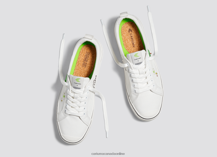 Cariuma Canada | Cariuma Men Peanuts Earth Off-White Canvas HPBV8Z82