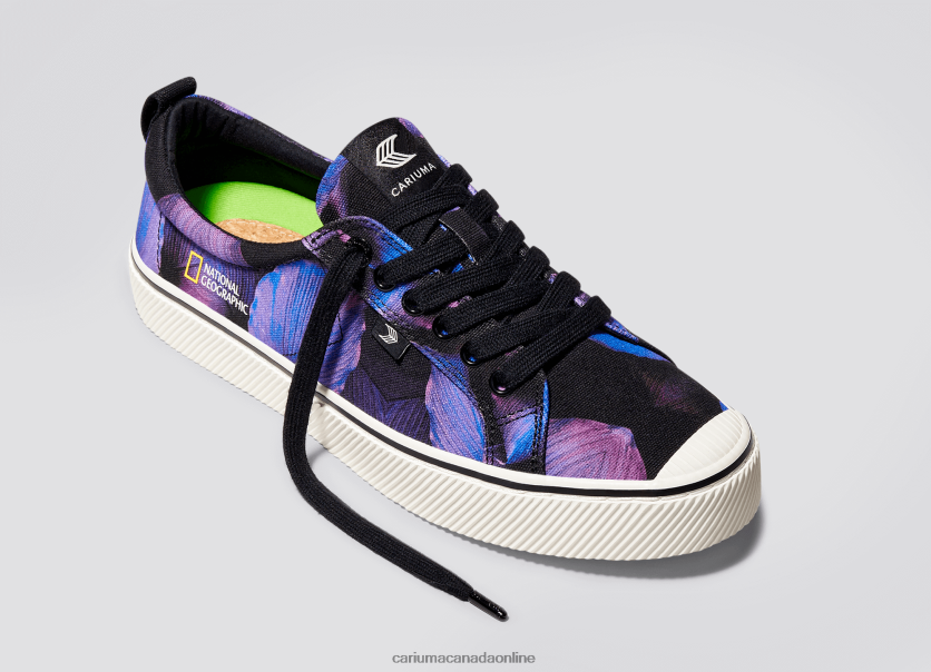 Cariuma Shoes | Cariuma Men National Geographic Peace Lily Purple Canvas HPBV8Z29