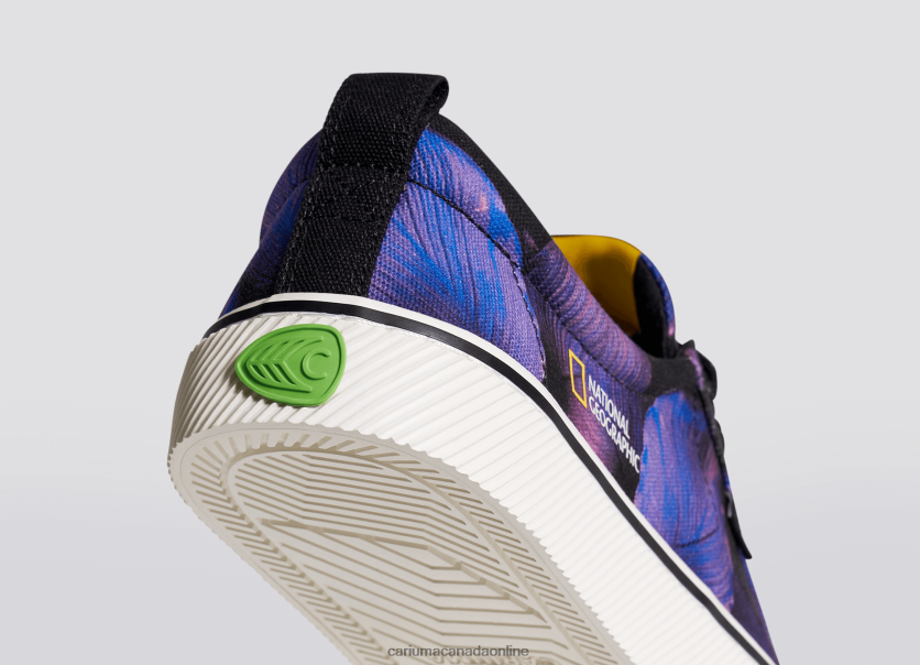 Cariuma Shoes | Cariuma Men National Geographic Peace Lily Purple Canvas HPBV8Z29
