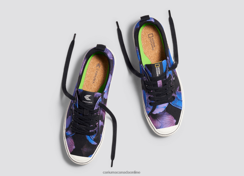 Cariuma Shoes | Cariuma Men National Geographic Peace Lily Purple Canvas HPBV8Z29