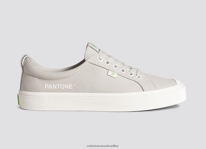 Cariuma Shoes | Cariuma Men Pantone French Oak Canvas HPBV8Z17