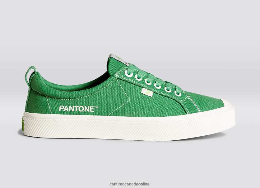 Cariuma Shoes | Cariuma Men Pantone Greenbriar Canvas HPBV8Z20