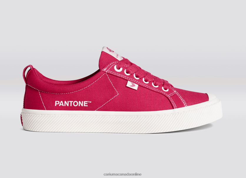 Cariuma Shoes | Cariuma Men Pantone Viva Magenta/Off-White Canvas HPBV8Z38