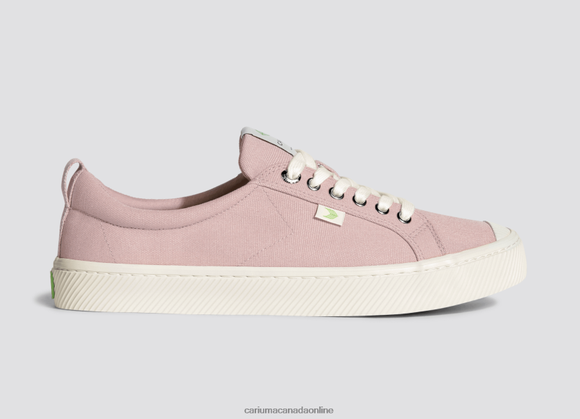 Cariuma Shoes | Cariuma Men Rose Canvas HPBV8Z5