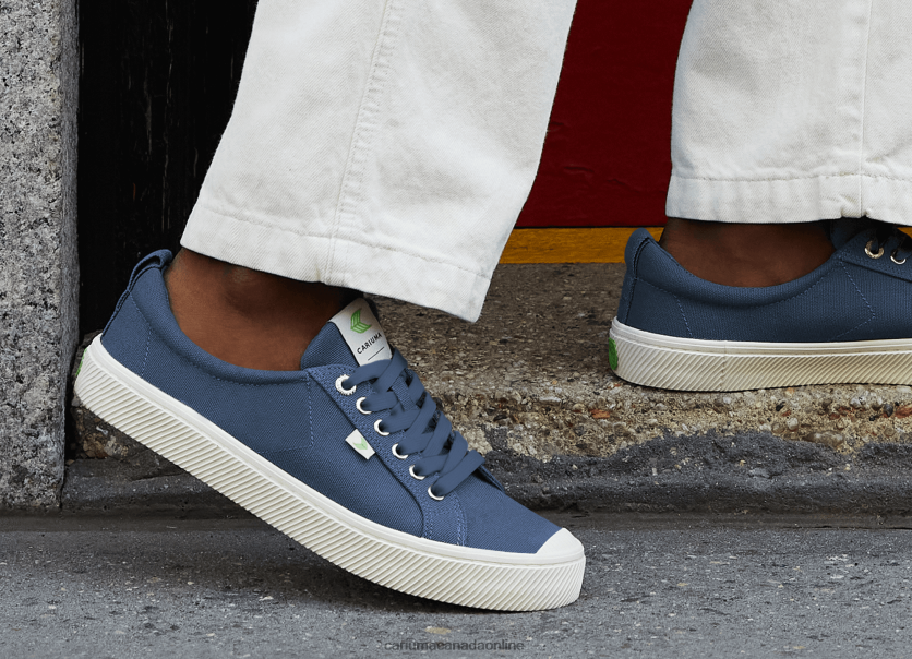 Cariuma Skate Shoes | Cariuma Men All Pale Lilac Canvas HPBV8Z30