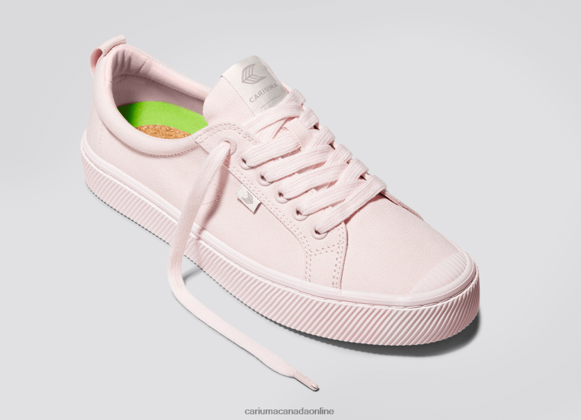 Cariuma Skate Shoes | Cariuma Men All Pale Lilac Canvas HPBV8Z30