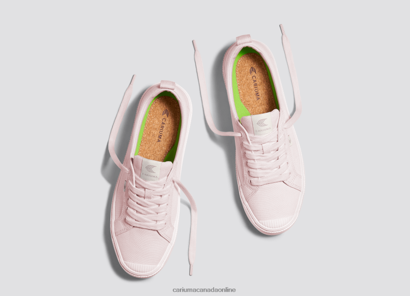 Cariuma Skate Shoes | Cariuma Men All Pale Lilac Canvas HPBV8Z30