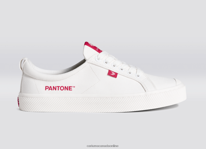 Cariuma Skate Shoes | Cariuma Men Pantone Off-White/Viva Magenta Canvas HPBV8Z39