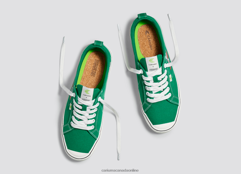 Cariuma Skate Shoes | Cariuma Men Peanuts Surf Green Canvas HPBV8Z84