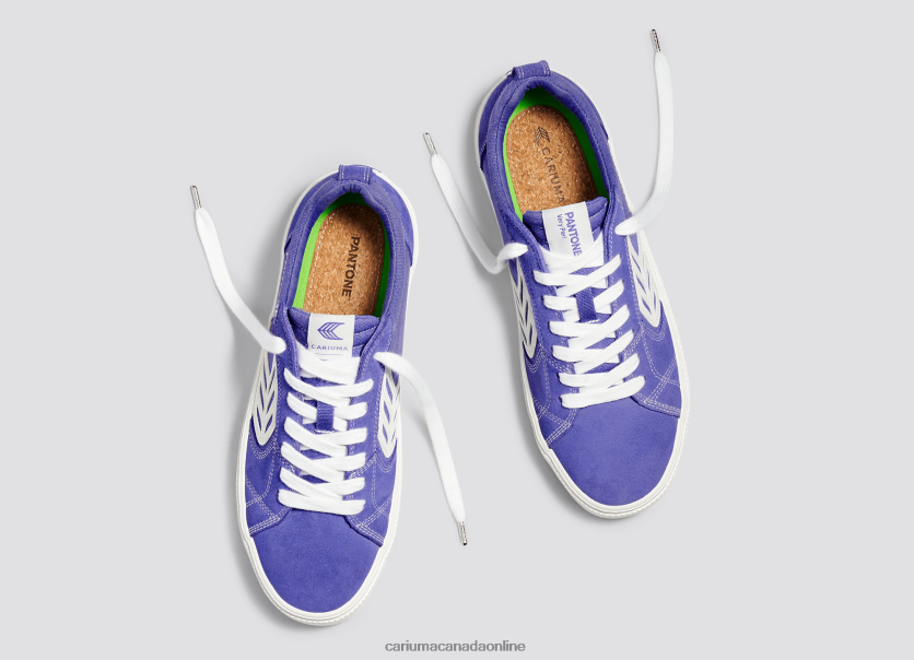 Cariuma Canada | Cariuma Women Pantone Very Peri/Off-White HPBV8Z304