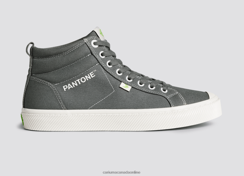 Cariuma Skate Shoes | Cariuma Women Pantone Gargoyle Grey Canvas HPBV8Z282