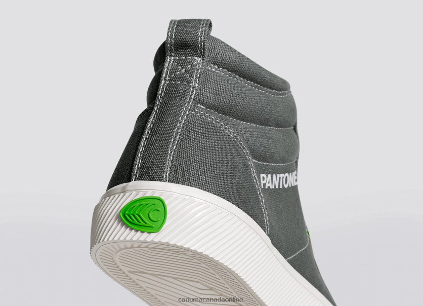 Cariuma Skate Shoes | Cariuma Women Pantone Gargoyle Grey Canvas HPBV8Z282