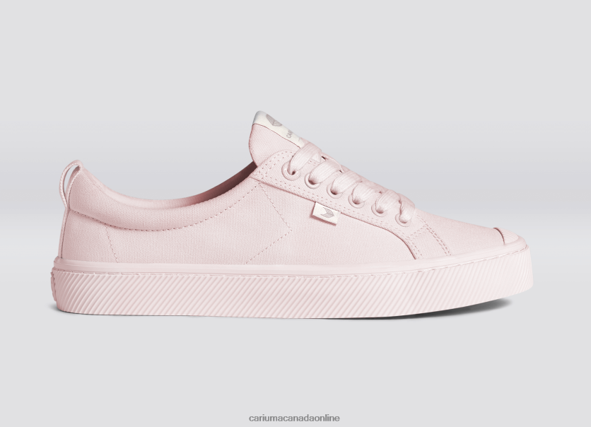 Cariuma Canada | Cariuma Women All Pale Lilac Canvas HPBV8Z247