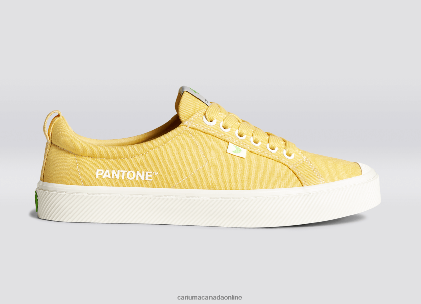 Cariuma Canada | Cariuma Women Pantone Cornsilk Canvas HPBV8Z268