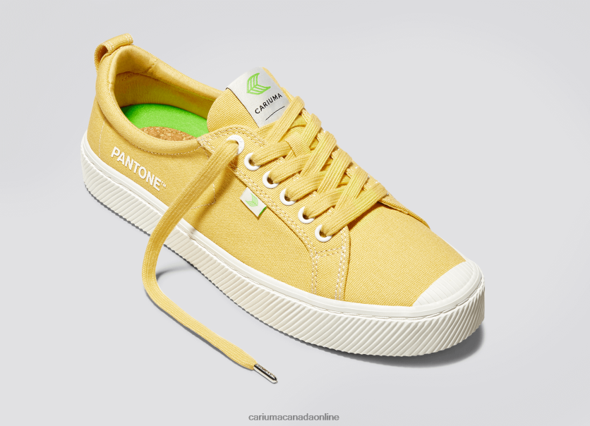 Cariuma Canada | Cariuma Women Pantone Cornsilk Canvas HPBV8Z268