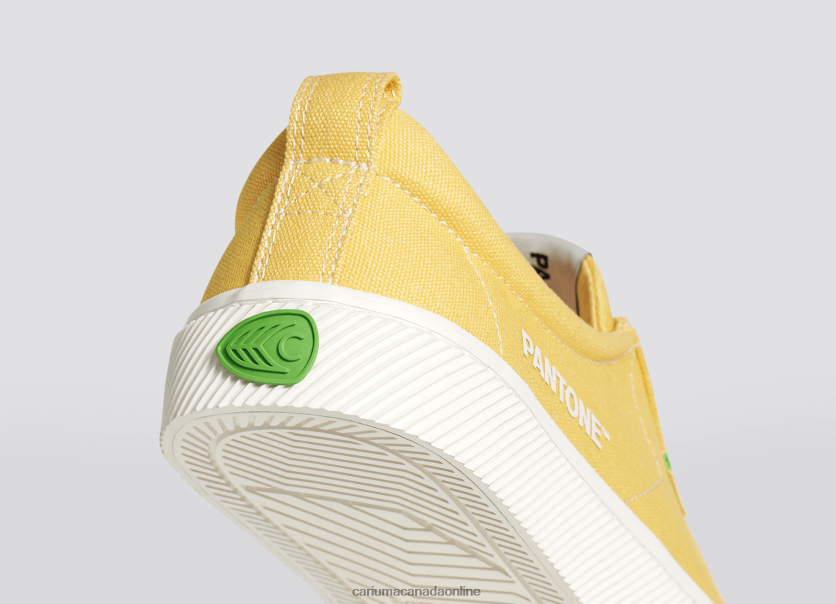 Cariuma Canada | Cariuma Women Pantone Cornsilk Canvas HPBV8Z268