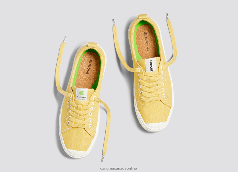 Cariuma Canada | Cariuma Women Pantone Cornsilk Canvas HPBV8Z268