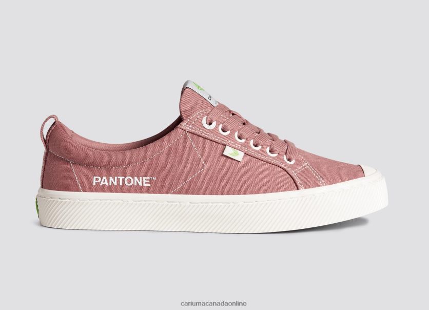 Cariuma Canada | Cariuma Women Pantone Withered Rose Canvas HPBV8Z229