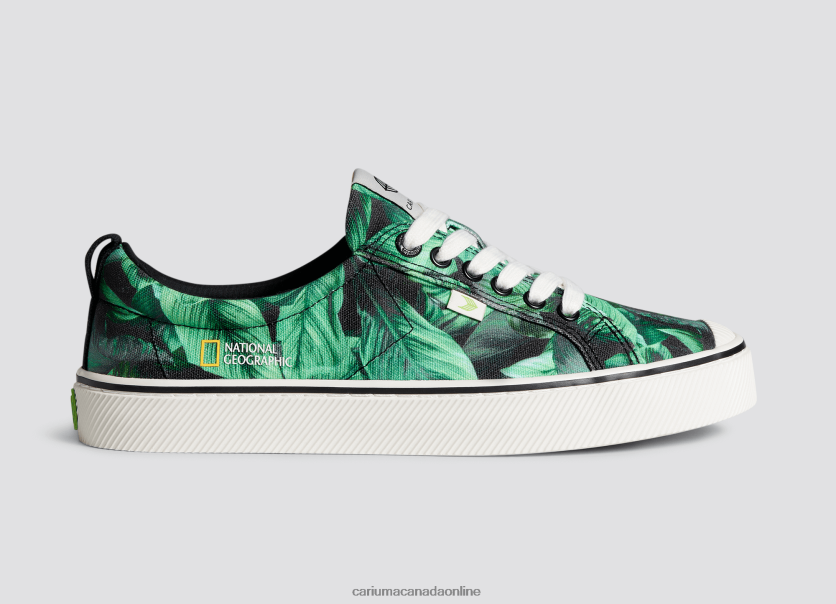 Cariuma Shoes | Cariuma Women National Geographic Peace Lily Green Canvas HPBV8Z245