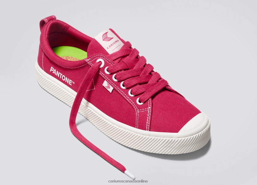 Cariuma Shoes | Cariuma Women Pantone Viva Magenta/Off-White Canvas HPBV8Z251