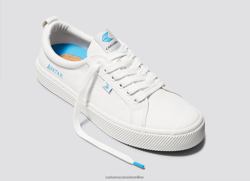 Cariuma Skate Shoes | Cariuma Women Avatar Off-White Canvas HPBV8Z258
