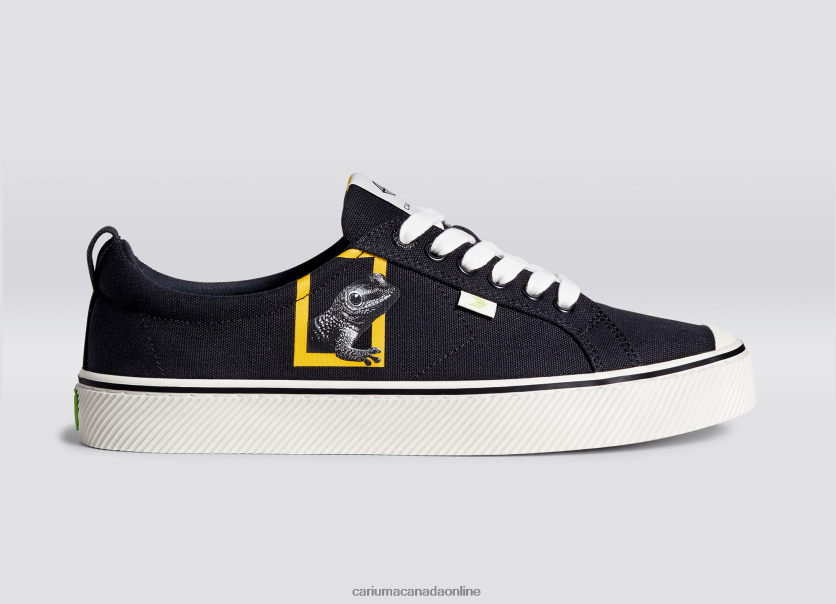 Cariuma Skate Shoes | Cariuma Women National Geographic Gecko Black Canvas HPBV8Z303
