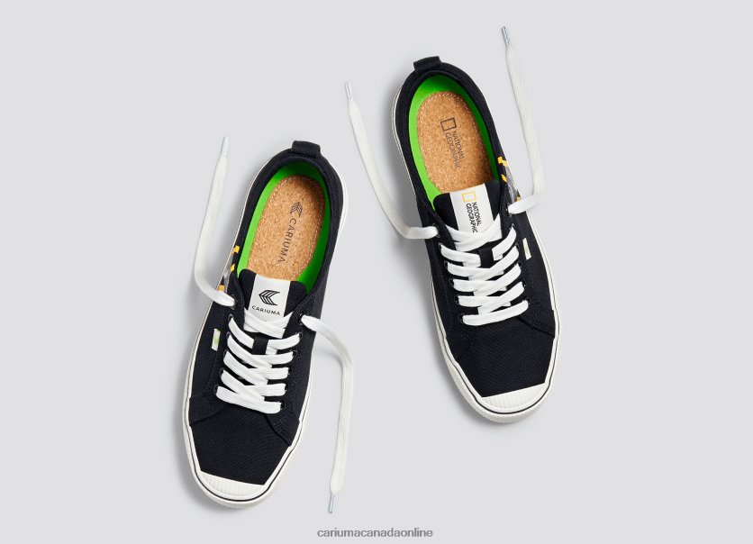 Cariuma Skate Shoes | Cariuma Women National Geographic Gecko Black Canvas HPBV8Z303