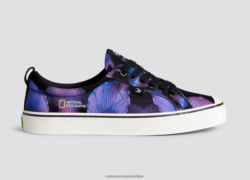 Cariuma Skate Shoes | Cariuma Women National Geographic Peace Lily Purple Canvas HPBV8Z246