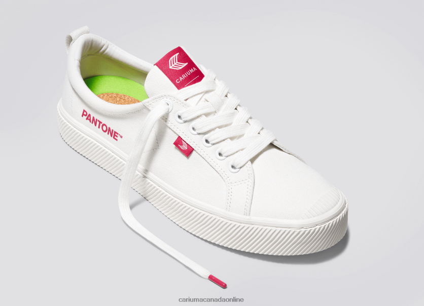 Cariuma Skate Shoes | Cariuma Women Pantone Off-White/Viva Magenta Canvas HPBV8Z252